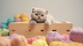 Grey Scottish Fold Kitten Playing In Candy-colored Bed