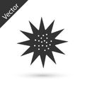 Grey Sea urchin icon isolated on white background. Vector. Royalty Free Stock Photo