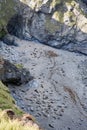 Grey Seals lying on the beach Cornwall UK Royalty Free Stock Photo