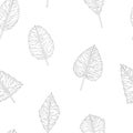 Grey seamless texture pattern from leaves