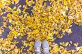 Grey shoes in the autumn leaves. Top view.