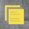 Grey smooth concrete wall. Colors of year 2021.