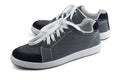 Grey sneakers Royalty Free Stock Photo