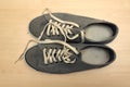 Grey Sneakers Royalty Free Stock Photo