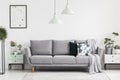 Grey sofa between cabinets with plants in white living room interior with lamps and poster. Real photo Royalty Free Stock Photo