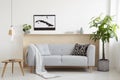 Grey sofa between plant and wooden table in bright living room i Royalty Free Stock Photo