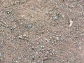 Grey Soil pattern Royalty Free Stock Photo