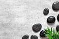 Grey spa background, palm leaves and black wet stones, top view Royalty Free Stock Photo