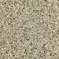 Grey, spotted granite, texture, backdrop. A variegated, spotted background of gray granite wall interspersed with black Royalty Free Stock Photo