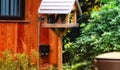 A grey squirrel on a bird house