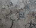 grey stone background with a marmer like pattern