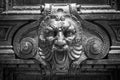 Grey stone lion head with mouth wide open. Another tooth missing. Detail of a sculpture, close up photo Royalty Free Stock Photo