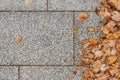 Grey stone pavement texture. Paving stones with yellow autumn leaves Royalty Free Stock Photo