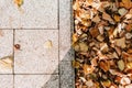 Grey stone pavement texture. Paving stones with yellow autumn leaves Royalty Free Stock Photo