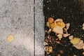 Grey stone pavement texture. Paving stones with yellow autumn leaves Royalty Free Stock Photo