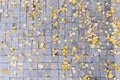 Grey stone pavement texture. Paving stones with yellow autumn leaves Royalty Free Stock Photo