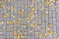 Grey stone pavement texture. Paving stones with yellow autumn leaves Royalty Free Stock Photo