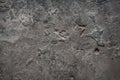 Grey stone textured background with copy space. Royalty Free Stock Photo