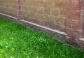 Grey stone wall and green grass Royalty Free Stock Photo