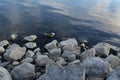 Grey stones near blue water of rhe river Royalty Free Stock Photo