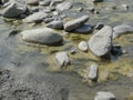 Grey stones on the river Royalty Free Stock Photo