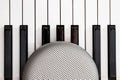 grey stylish speaker on the black and white piano keys on top view