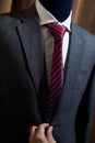 Grey suit with red patterned tie Royalty Free Stock Photo