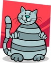 Grey tabby cat