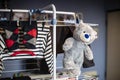 Grey teddy bear hanging dry on rack with clothes Royalty Free Stock Photo