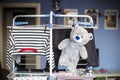 Grey teddy bear hanging dry on rack with clothes Royalty Free Stock Photo