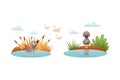 Grey Ugly Duckling Floating in Pond with Reeds as Little Creature from Fairytale Vector Set