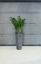 Grey vase in modern interior