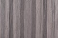 Grey veneer background with unique surface. High quality wooden texture.