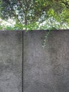 The grey wall of rought cement