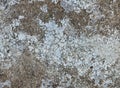 Grey wall texture or background, stone Royalty Free Stock Photo