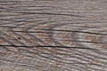 Grey weathered wood texture showing cracks and growth rings