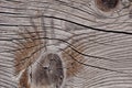 Grey weathered wood texture showing cracks, knots and growth rings