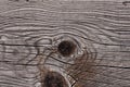 Grey weathered wood texture showing cracks, knots and growth rings