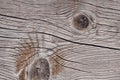 Grey weathered wood texture showing cracks, knots and growth rings