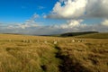 The grey wethers, Dartmoor national park, devon Royalty Free Stock Photo