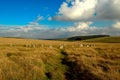 Grey wethers, Sittaford Tor dartmoor devon Royalty Free Stock Photo