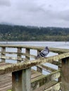 Grey bird sitting on railing at pier at Rocky Point Park in Port Moody, Sept 19 2020