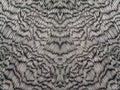 Grey and white colors silk fabric abstract Royalty Free Stock Photo