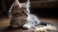 A grey and white kitten playing with a feather toy created with Generative AI