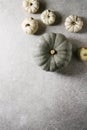 Grey and white pumpkins