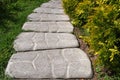 Grey wide path or trail of the embossed patterned shaped concrete slabs lying among green grass and shrubs arborvitae