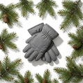 Grey winter gloves centered on a Royalty Free Stock Photo