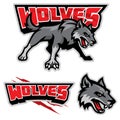 Grey wolf mascot