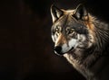 Grey wolf portrait with copy-space, generative AI Royalty Free Stock Photo