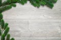 Grey wood background and fir tree Royalty Free Stock Photo